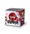 Bateria Oyama